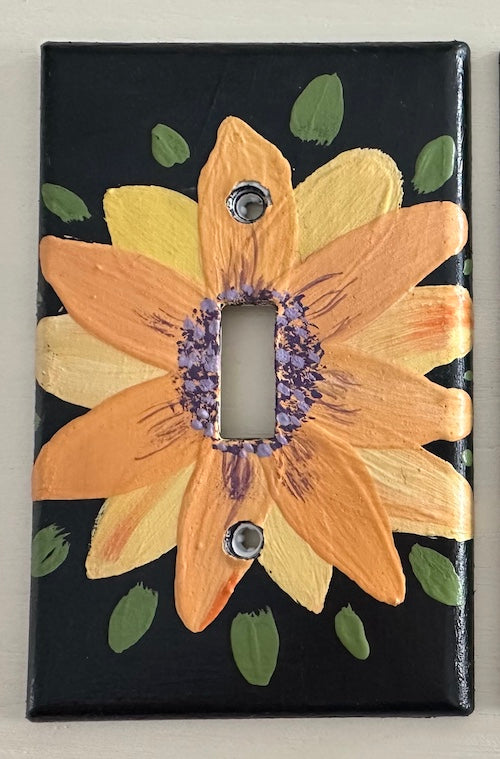 Feb 5 Paint Light Switches Party, Thurs Feb 5 2026